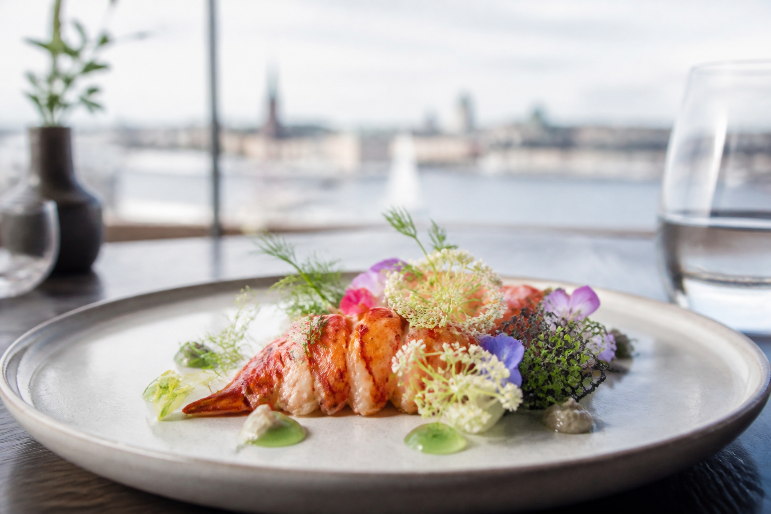 Fine dining plate with Nordic seafood and flowers | מסעדת מישלן בשטוקהולם עם דגש על חומרי גלם מקומיים